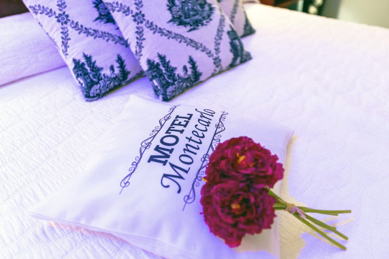 Reservar Motel Montecarlo en Lugo